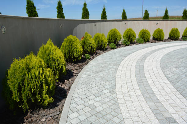Best Driveway Repair Near Me  in Clifton Heights, PA